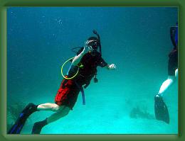 Seabase Scuba 2012 (10) * 1024 x 768 * (346KB)